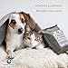 KoolerThings 5 Pack - Bamboo Charcoal Air Purifying Bags (1 x 500g) (2 x 200g) (2 x 75g) Natural Air Fresheners & Odor Eliminators for Home, Pets,Car, Closet, Shoes