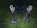 Forum Novelties Zombie Hands and Arm Lawn Stakes, 2-Pieces