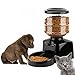 Automatic Pet Feeder, PETFLY Automatic Feeder Electric Pet Food Dispenser Dry Food Container with LCD Display for Pet Dogs Cats (Black)