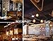 Edison LED Bulb, Amber 6W Vintage Edison LED Filament Light Bulb Edison lamp, 2800K Daylight (Warm White), 60W Incandescent Equivalent, E26 Base Lamp for Restaurant,Home,Reading Room,Office Pack of 1