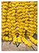 5 pack Artificial Yellow Marigold flower garlands/strings 5 ft long- for use in parties, celebrations, Indian weddings, Indian themed event, decorations, house warming, photo prop, Diwali, Ganesh Fest