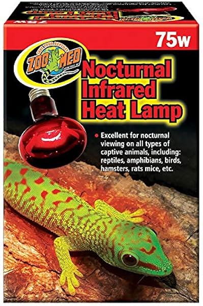 reptile heat lamp near me