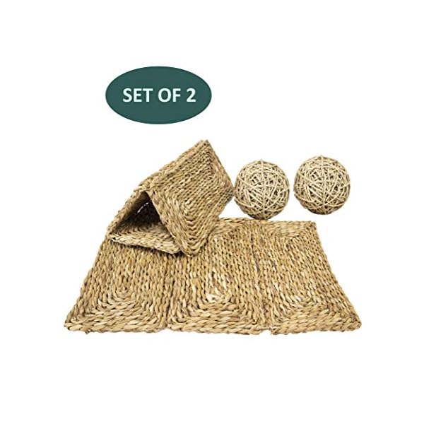 MadeTerra 2 Tappetini e 2 palline per animali domestici,conigli,criceti,porcellini d'India,cincillà e giocattoli da…