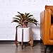 Plant Stand Mid Century Wood, Flower Pot Holder Display, Potted Rack Rustic Decor, Up to 10 Inch Planter (Planter NOT Included), Brown – Dark Walnutthumb 1