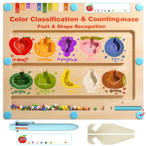 iwaki Color and Number Maze Montessori Wooden Color Sorting