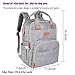 HOKEKI Diaper Bag Backpack, Multifunction Travel Fashion Backpack Maternity Baby Nappy Changing Bags, an Extra Waterproof Changing Pad, Large Capacity, Gray
