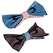 Blueberry Pet Gift Box with Pack of 2 Handmade Dog Cat Bow Tie, Paisley Fave Designer Bowtie Set, 4