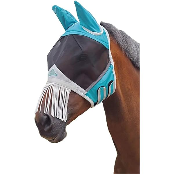 Amazon.com : Shires Poultice Boot Blue 