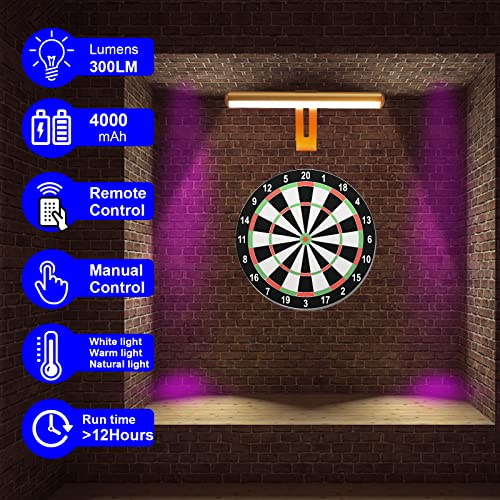 ZOCALOK Rechargeable Picture Light, Cordless Picture Light for