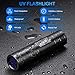Ledeak UV Flashlight Black Light, Led Ultraviolet Portable Flashlight, Pet Urine Detector Handheld Pocket Blacklight for Invisible Dog Cat Pet Urine, Dry Stains, Bed Bug, Scorpion Hunting, Camping