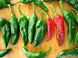 Chimayo New Mexico Chile Posole Pepper Premium