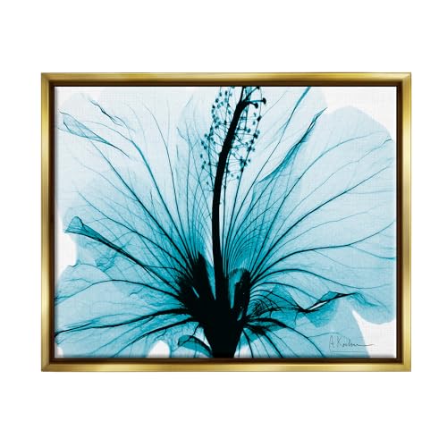 Stupell Industries Blue Flower X-Ray Framed Floater Canvas Wall Art by Albert K…