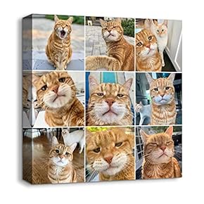 Animals Plants Collage Ideas Home Wall for Bedroom...