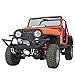Paramount Restyling 51-0204 Black Tubular Rock Slide with Step (Jeep Wrangler CJ)