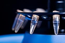 BKMAMLAB 0.2ml Microcentrifuge Tubes 1000