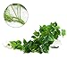 Luyue Artificial Hanging Plants Green Plastic Scindapsus Leaves Fake Ivy Vine Pack of 1 (Scindapsus Vine)