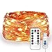 Lighting EVER Fairy Lights, 33ft 100 LED Copper Wire String Lights, Dimmable with Remote/Timer, USB Powered, IP65 Waterproof, Decorative Twinkle Light for Party, Wedding, Garden and More