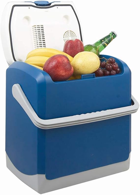 Car Mini Fridges, 24L Cold And Warm Car Refrigerator, Small Car Home