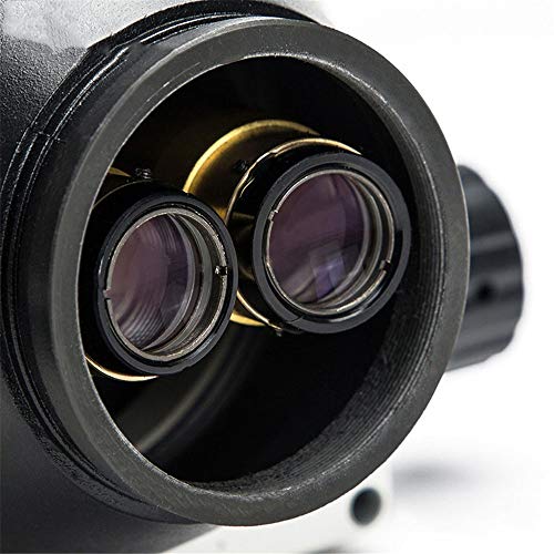 QuRRong Mikroskop für Studenten für Laborschule, Empfang, Erziehung, Biologische Forschung für die Reparatur von… – Bild 6