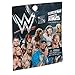 WWE Mighty Minis Series 2 Wrestling Mini Figure Blind Bag Party Favours - Pack of 10