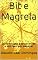 Livro Bit e Magrela: Dois amigos adolescentes e um fato por explicar
