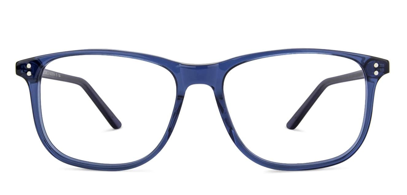 blue cut lenses lenskart price