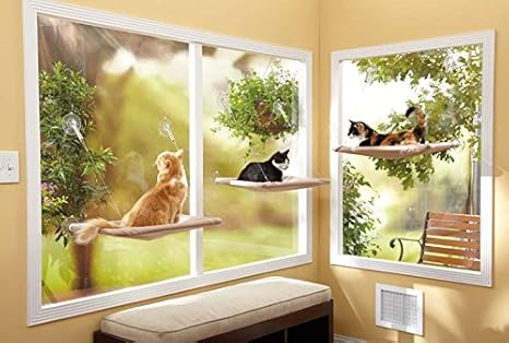 amazon cat window bed