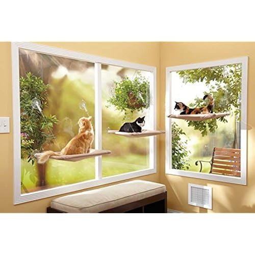Oster Sunny Seat Window-Mounted Cat Bed 50 lbs Pet Supplies, Cats, Beds & Furniture, Beds & Sofas