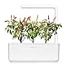 Click and Grow Smart Garden Red Hot Chili Pepper Plant Pods, 3-Pack