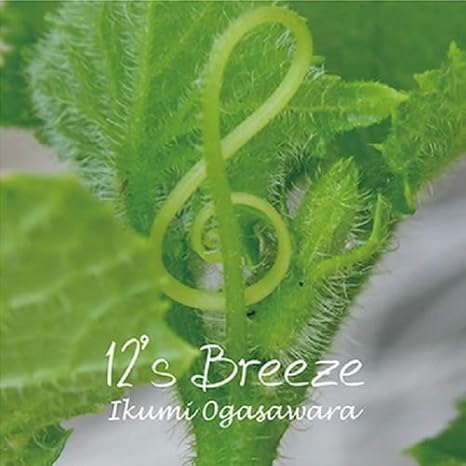 Ikumi Ogasawara 12breeze Amazon Com Music