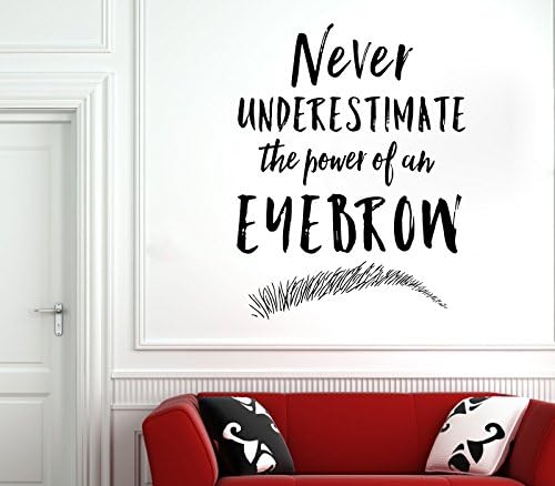 Wall Decal Window Sticker Beauty Salon Woman Face Eyelashes Lashes Eyebrows Brows t8