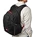 Case Logic DLBP-116 16-Inch Laptop Backpack (Dark Gray)