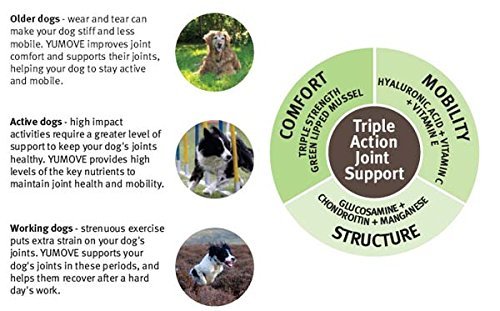 lintbells yumove 300