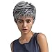 Befunny Synthetic Hair Wigs Short Grey Synthetic Full Wig for Women Fashion Style Hair Wig with Elastic Net Breathable Medium Size