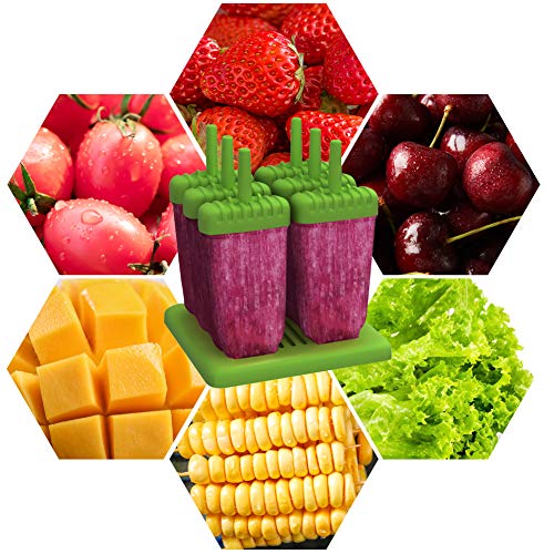 4 Ozera+Reusable+Popsicle+Molds+Maker