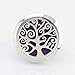 Jenia Aromatherapy Car Essential Oil Diffuser Locket With Vent Clip - 316L Surgical Stainless Steel