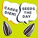 Chinook Seedery Roasted Sunflower Seeds - Jumbo Seeds Keto Snacks - Best For Snack Packs - Gluten Free, Non GMO Snack Food Gifts - 4 ounce (Pack of 6) - Smokehouse BBQ Flavor