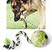TC JOY Dog Toy Ball with Rope, 3 Inches Interactive Dog Chew Toy, Good for Aggressive Chewers, Healthy and Safe for Large Dogs