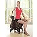 Gaiam Balance Ball Chair Covers