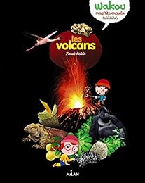 Les  volcans