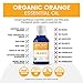 Orange Organic Essential Oil from Ancient Apothecary, 15 mL - 100% Pure and Therapeutic Grade