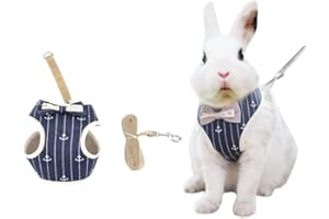 BARN ELEVEN Rabbit Harness and Leash for Walking Escape Proof - Cute Mesh Breathable Bunny Vest Harness Outdoor Camping Hiking Training - Also Suit for Ferret Kittn Puppy Small Animals (X-Small)