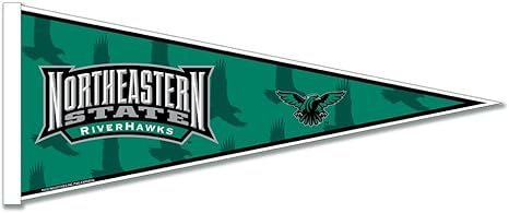 riverhawks northeastern pennant flag