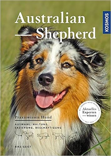 australian shepherd