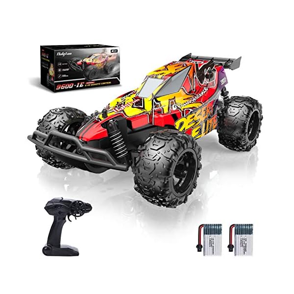 Holyton RC Cars, High Speed Remote Control Car 20 KM/H 2.4GHz 122