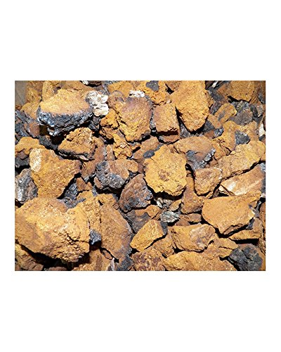 Dried Chaga Mushrooms