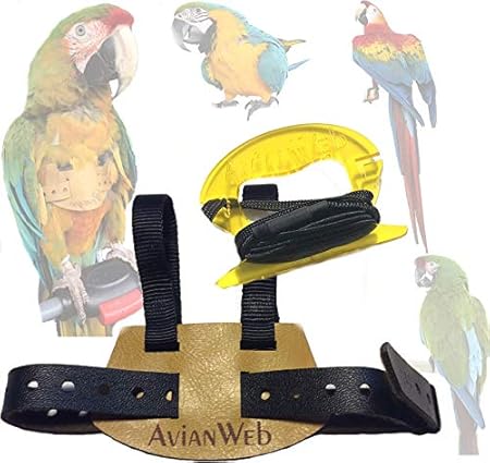 avianweb ez bird harness with leash