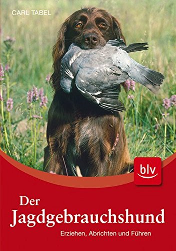 [PDF] Handbucher unternehmenspraxis visuelle mediengestaltung buch mit cd rom