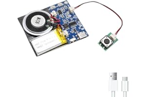 XLW Module - 16MB Push Button Activated Sound Module with Speaker, Type-C Cable, and Easy Recording Capability16 Minutes for Personalized Greetings, DIY Projects, and Holiday Crafts (Blue-1 PC)
