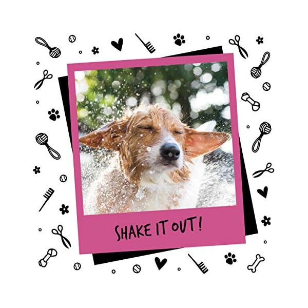 BUGALUGS-Baby-Fresh-Dog-Shampoo-500ml-dog-grooming-shampoo-products-for-smelly-dogs-with-baby-powder-scent-best-puppy-shampoo-baby-fresh-shampoo-conditioner-Vegan-pet-shampoo-professional-500ml BUGALUGS Baby Fresh Dog Shampoo 500ml dog grooming shampoo products for smelly dogs with baby powder scent, best puppy…